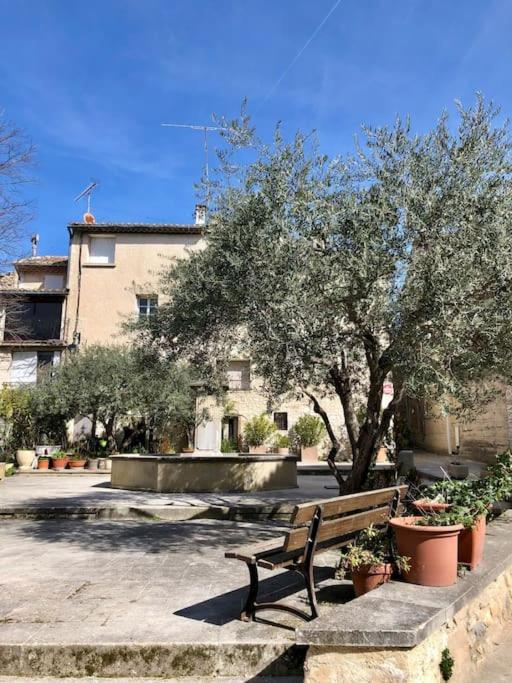 Logement Neuf, Tout Confort, Au Coeur Du Village Saint Didier  Eksteriør billede
